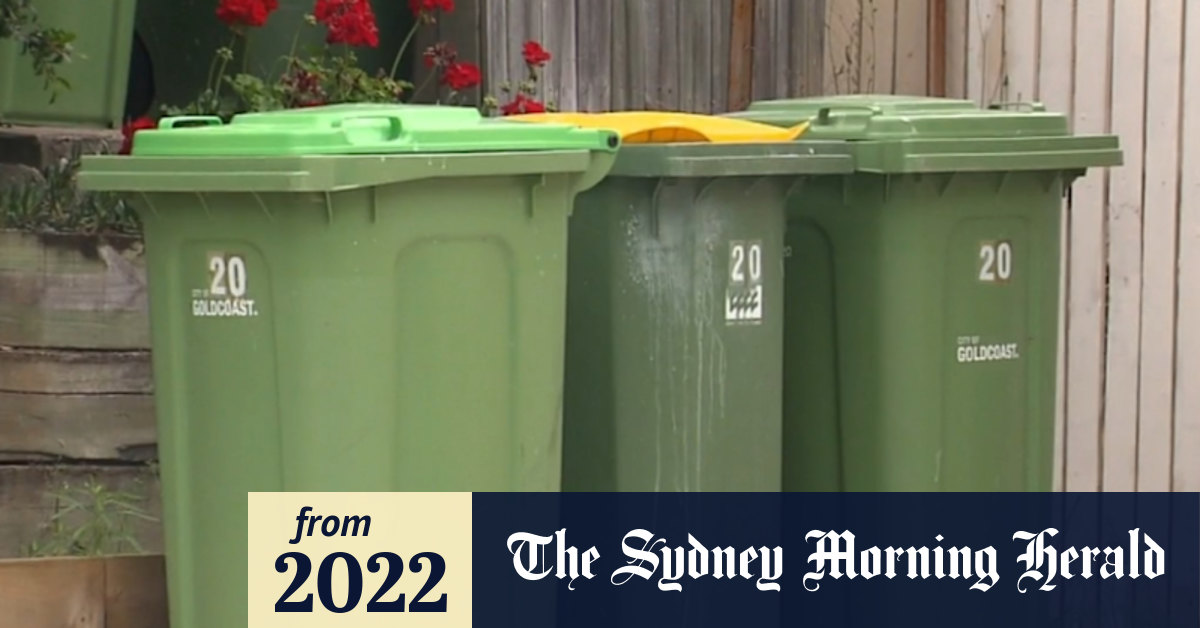 Video Queensland council inspectors photographing, rummaging through bins